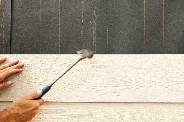 Best Custom Trim and Detailing for Siding  in Canyon Day, AZ